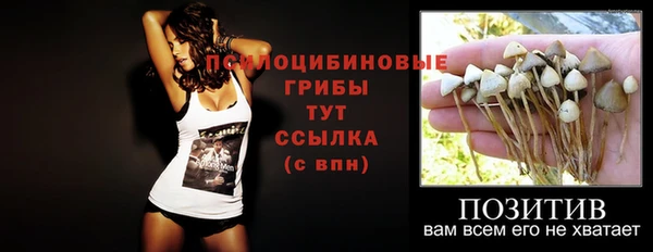 альфа пвп Няндома