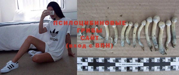 mdma Нязепетровск