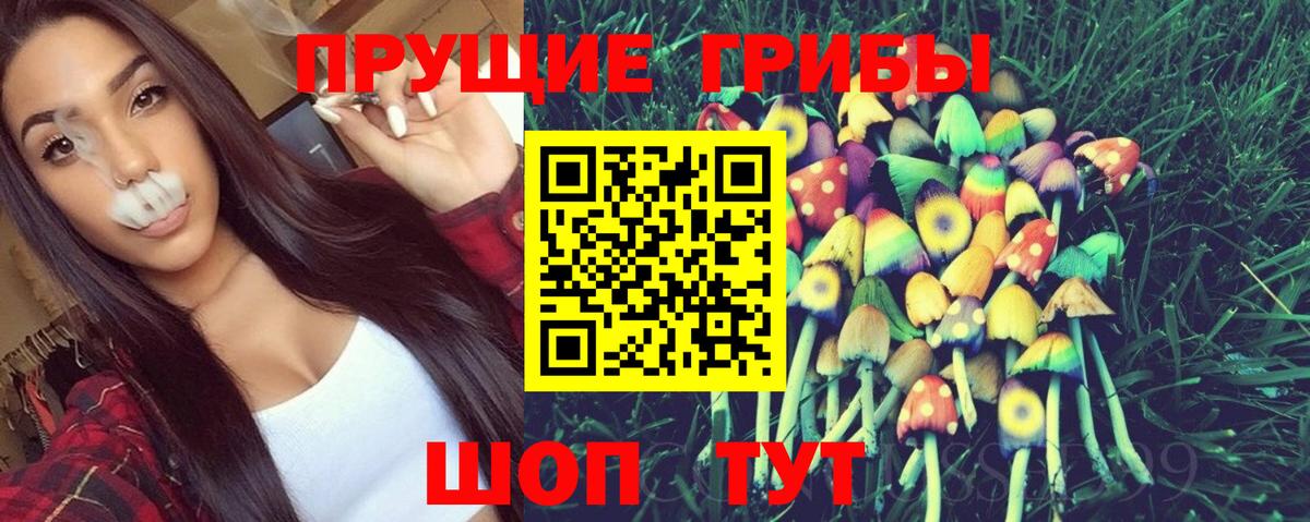 Галлюциногенные грибы MAGIC MUSHROOMS  Вход с VPN  Прохладный 