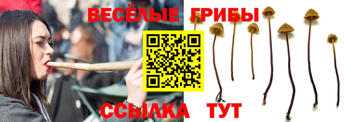 Гашиш  Бошки Шишки  ГАШИШ  МЕФ кристаллы  MDMA  Прохладный  Кокаин  Вход с VPN 