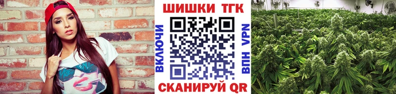 купить  цена  Прохладный  Каннабис ГИДРОПОН 